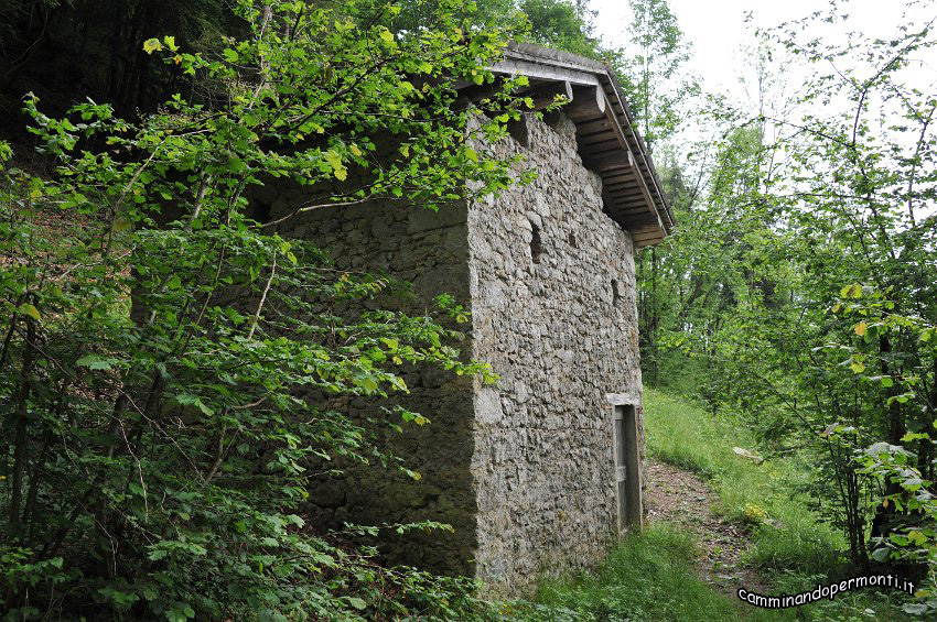 110.JPG
