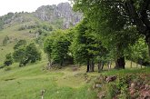 080 Passo Barbata