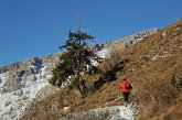 19 - Zorzone - Cima Menna