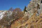 25 - Zorzone - Cima Menna
