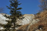 31 - Zorzone - Cima Menna