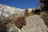 36 - Zorzone - Cima Menna