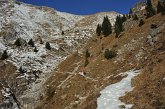 37 - Zorzone - Cima Menna