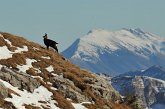 74 - Zorzone - Cima Menna