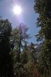 30 Lago di Braies