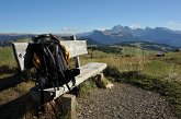 015 Alpe di Siusi - Sullo sfondo il Gruppo Odle
