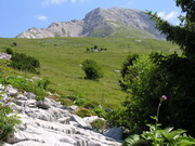 meraviglioso paesaggio durante la salita
