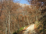 tratto iniziale