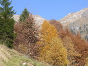 verso l'Arale