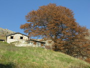 stalla