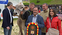 Mostra Zootecnica di Serina