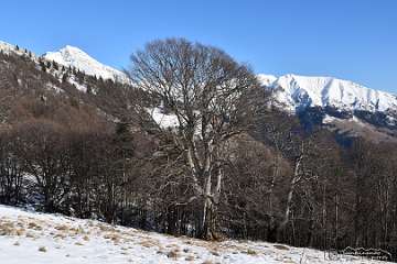 45: 45 Ai Faggi del Menna