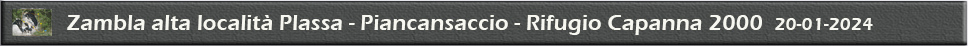 Piancanscaccio