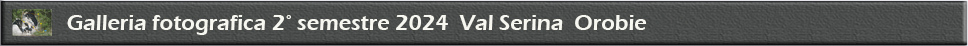 Raccolta fotografica 2� semestre 2024