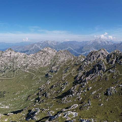 256195 Alben default