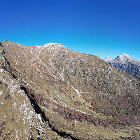 261689 Menna default