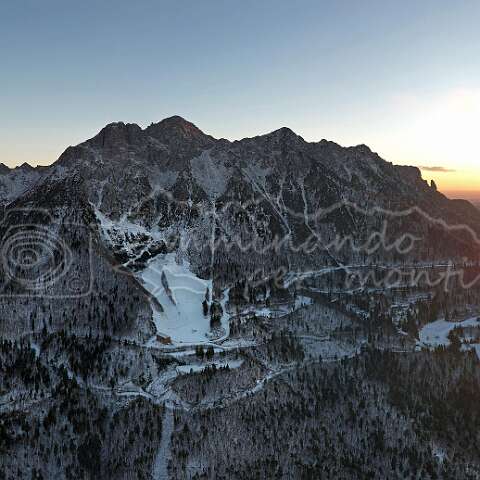 262572 Alben default