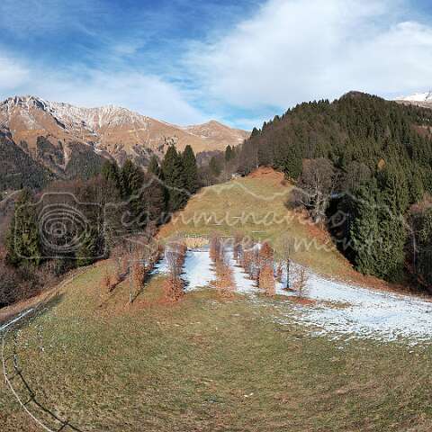 263356 Cattedrale vegetale default