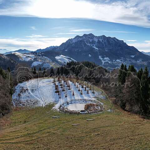 263357 Cattedrale vegetale default