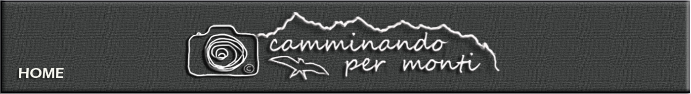 ccamminando per monti