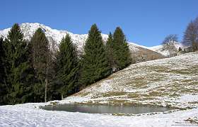 5: 2006-12-23 img005