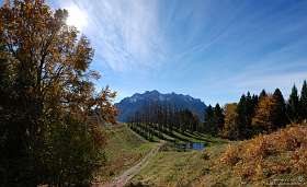 39: 2010-10-19 img039