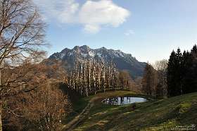 46: 2012-03-30 img046