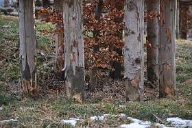 91: 2017-12-23 img091