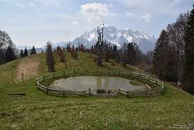 122: 2021-04-25  img122