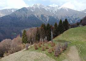 124: 2021-04-25  img124