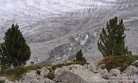81 Pontresina Morterastch - Ghiacciaio del Morteratsch Capanna Boval